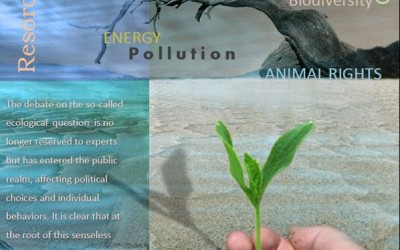 Bioethics Summer Course on Bioethics, Environmental Issues and Human Ecology