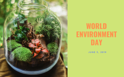 World Environment Day: taking actions to preserve our environment, our human rights and our health